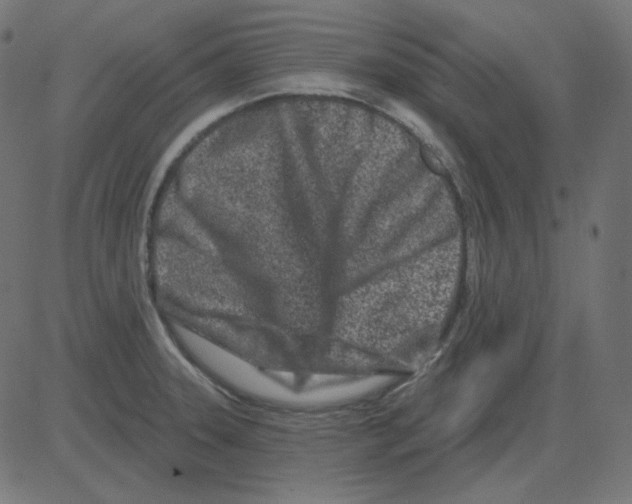 X0000081421331200702092124