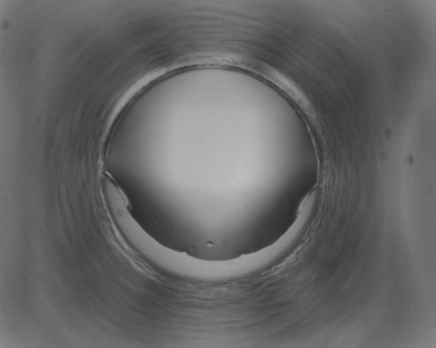 X0000081421332200702092124