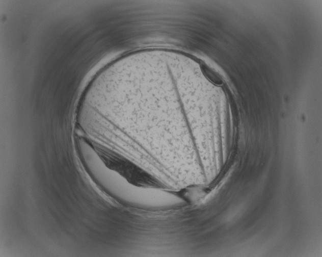 X0000081421333200702092124