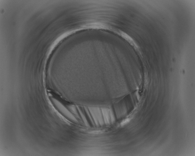 X0000081421334200702092124