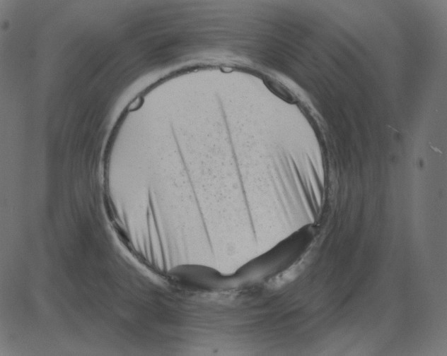 X0000081421335200702092124