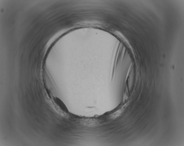 X0000081421336200702092124