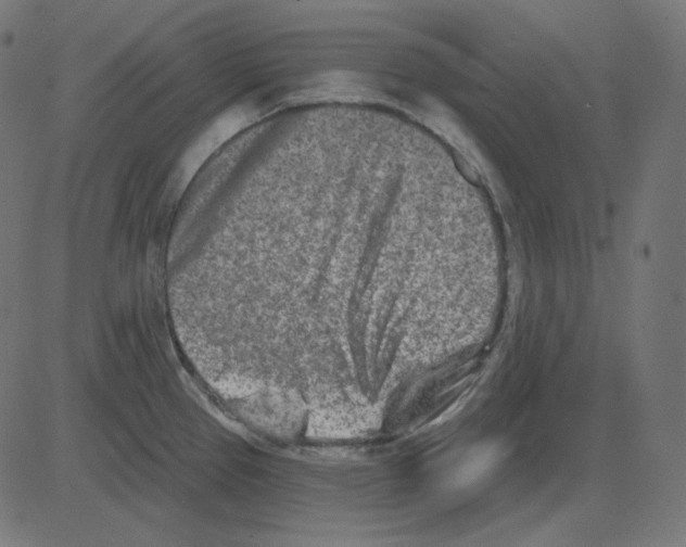 X0000081421337200702092124