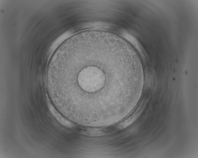 X0000081421338200702092124