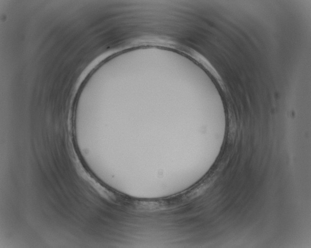 X0000081421339200702092124