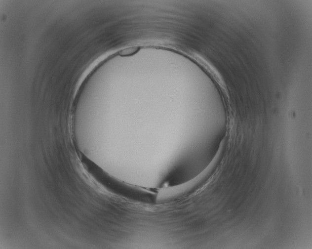 X0000081421340200702092124