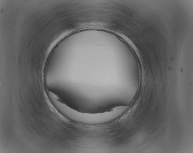 X0000081421341200702092124