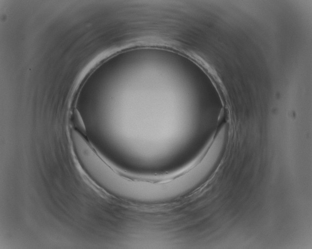 X0000081421342200702092124