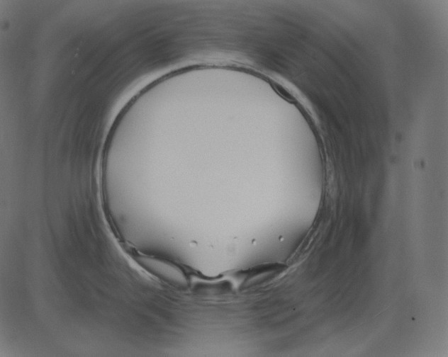 X0000081421343200702092124