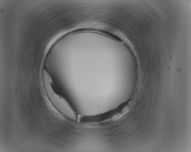 X0000081421344200702092124