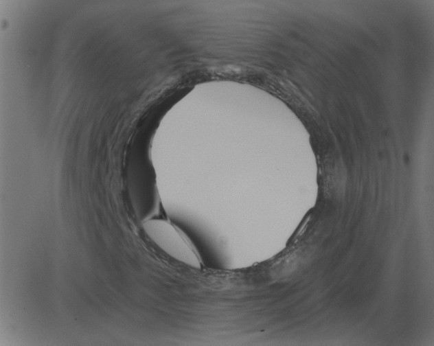 X0000081421345200702092123