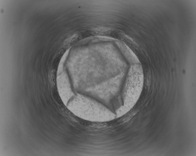 X0000081421346200702092123