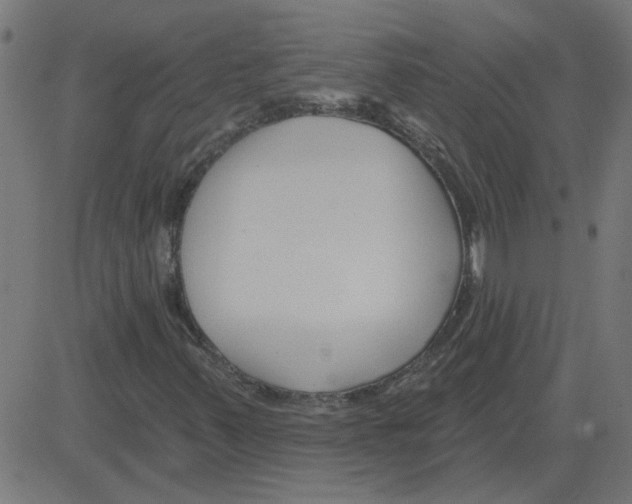 X0000081421347200702092123