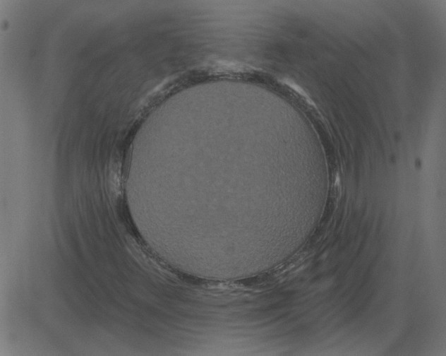 X0000081421348200702092123