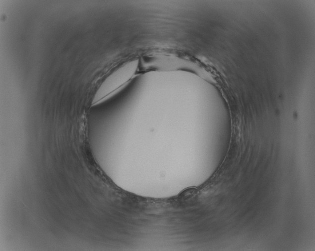 X0000081421349200702092123