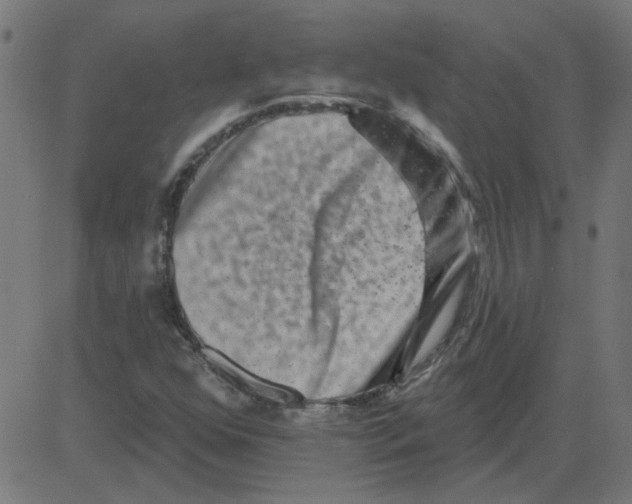 X0000081421352200702092123