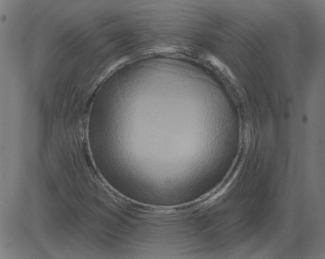 X0000081421353200702092123