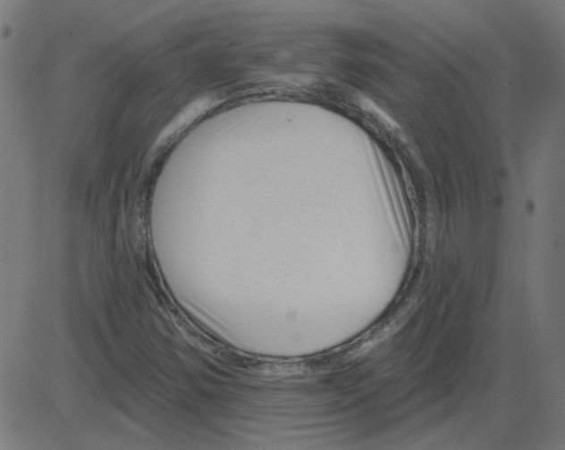 X0000081421354200702092123