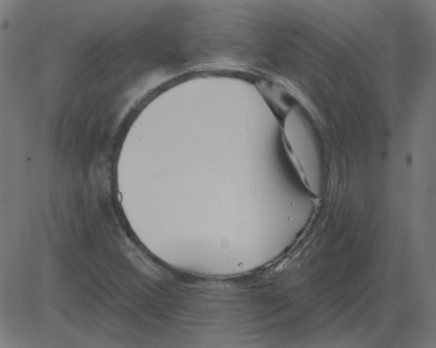 X0000081421356200702092123