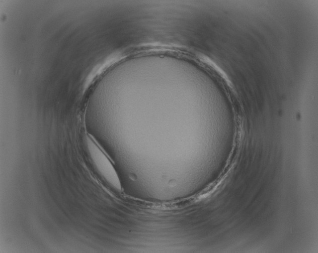 X0000081421357200702092123