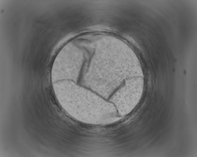 X0000081421358200702092123