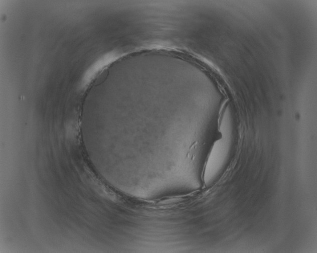 X0000081421359200702092123