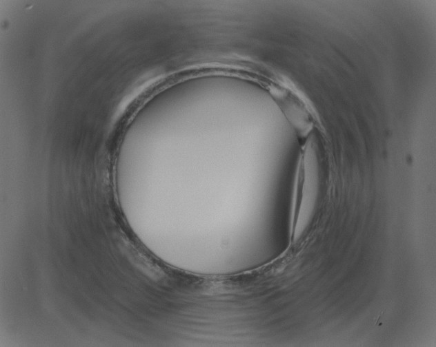 X0000081421360200702092123