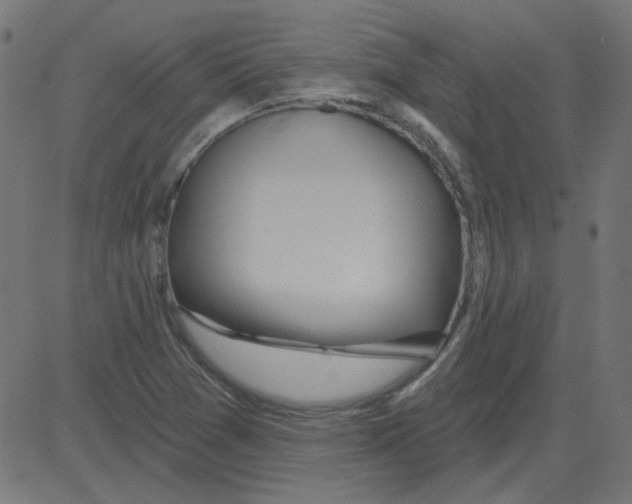 X0000081421361200702092123