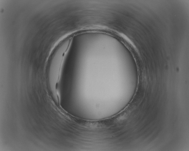 X0000081421364200702092123