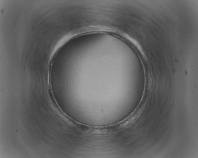 X0000081421365200702092123