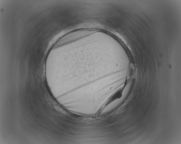 X0000081421366200702092123