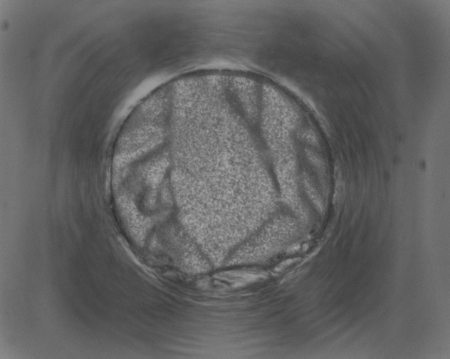 X0000081421367200702092123