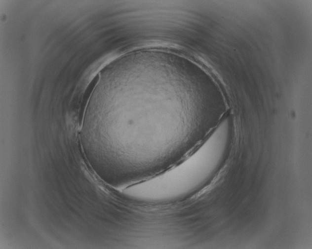 X0000081421369200702092123