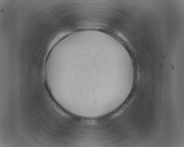 X0000081421370200702092123