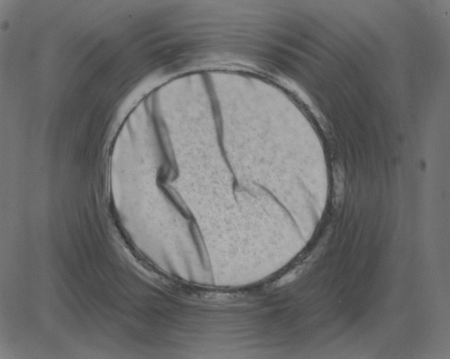 X0000081421371200702092123