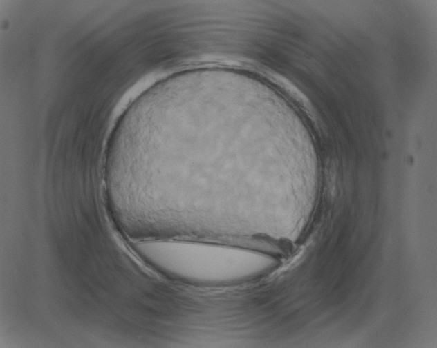 X0000081421373200702092123