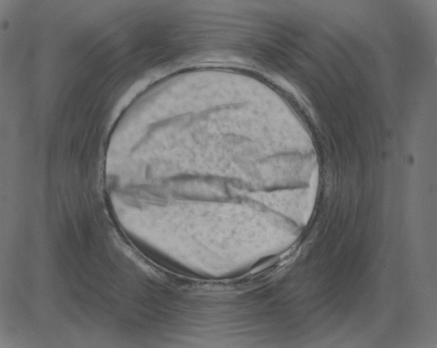 X0000081421374200702092123