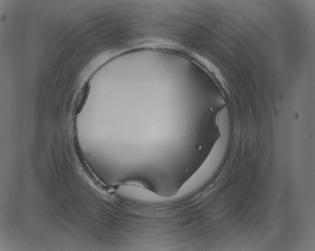 X0000081421375200702092123