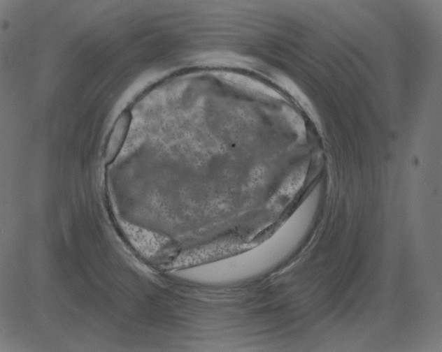 X0000081421376200702092123