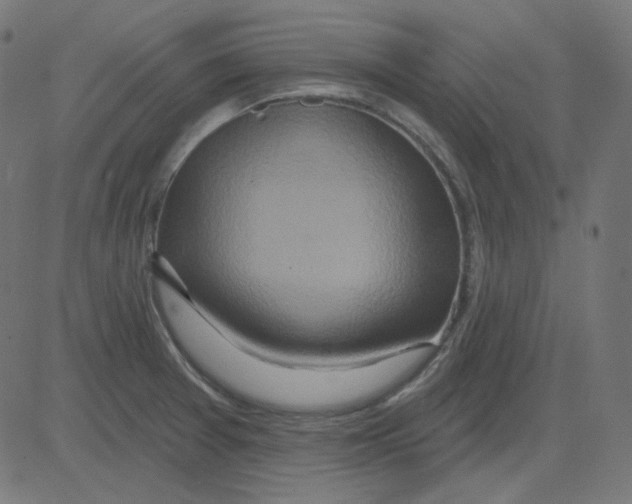 X0000081421377200702092123