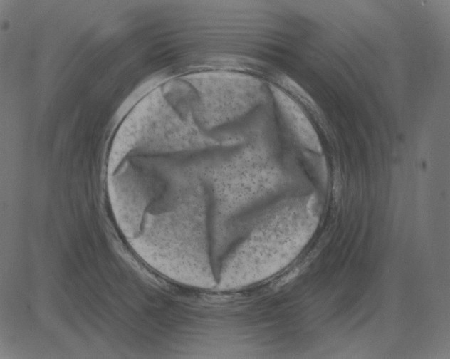 X0000081421378200702092123