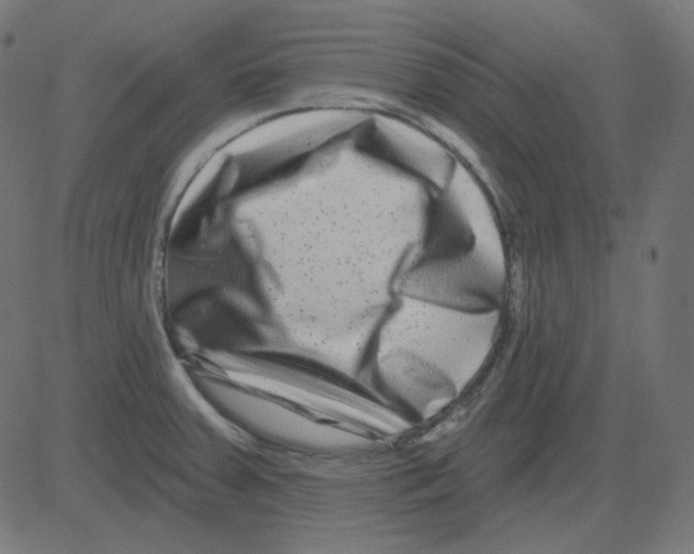 X0000081421379200702092123