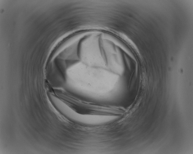 X0000081421380200702092123