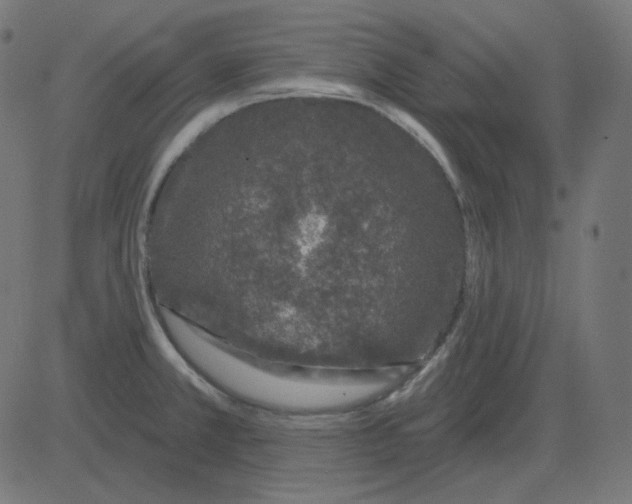 X0000081421381200702092123