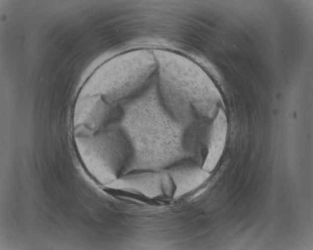 X0000081421382200702092123