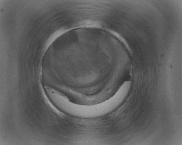 X0000081421383200702092123