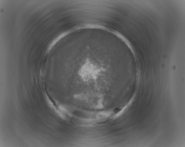 X0000081421385200702092123