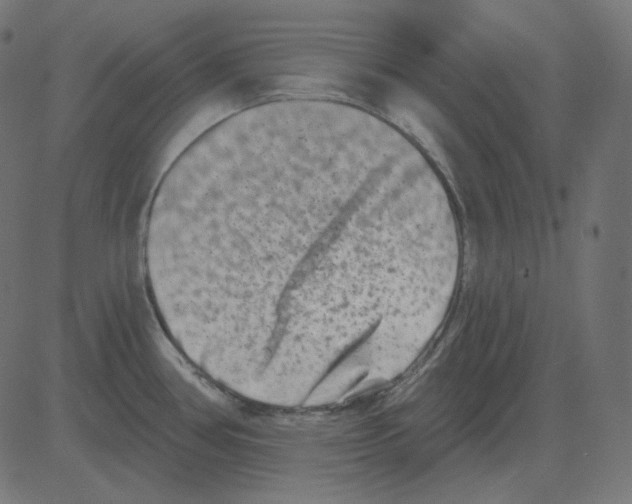 X0000081421386200702092123