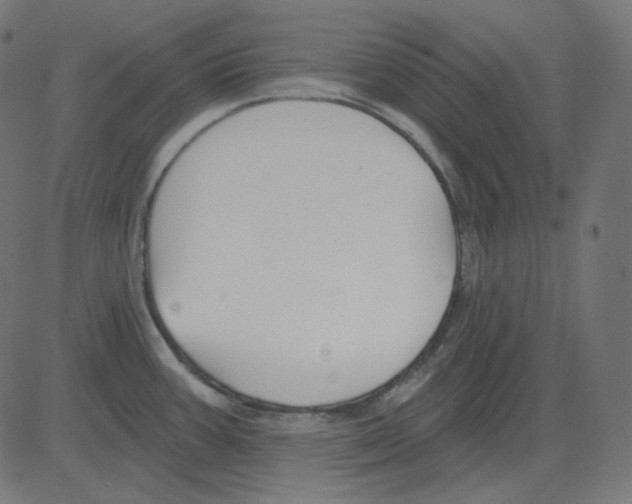 X0000081421387200702092123