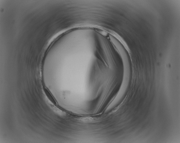 X0000081421388200702092123